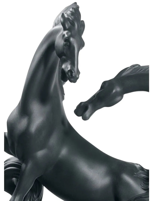 Horses Group Limited Edition