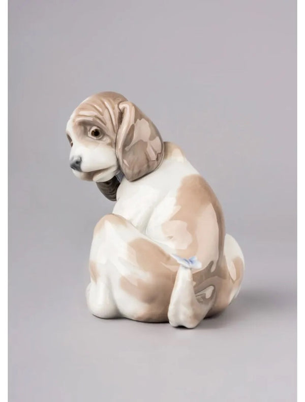 Gentle Surprise Dog