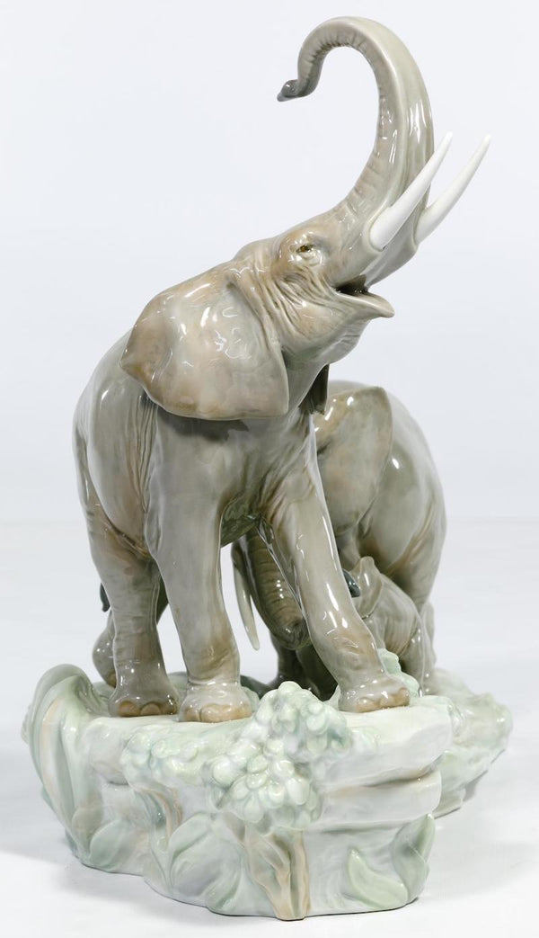 Elephants Walking