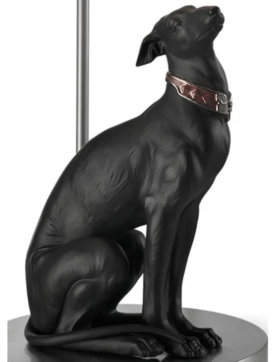 Attentive Greyhound