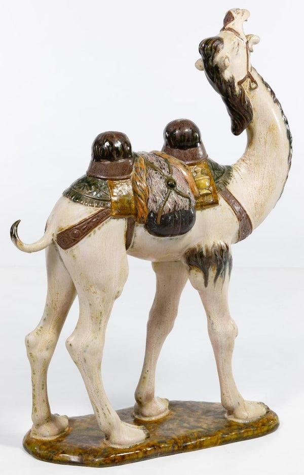 Camel