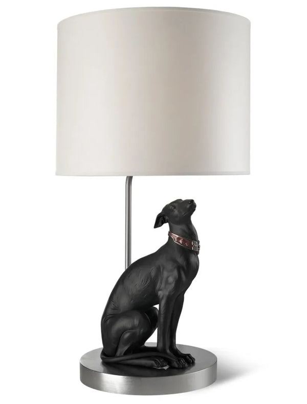 Attentive Greyhound