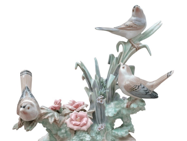 Spring Birds
