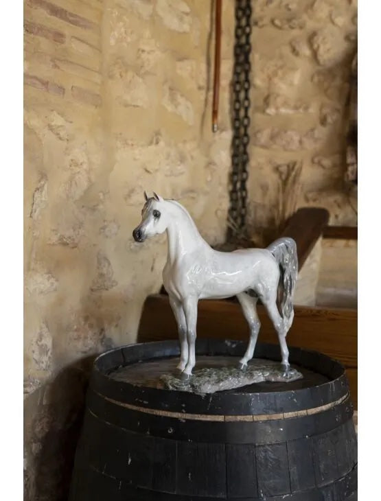Arabian Pure Breed Limited Edition