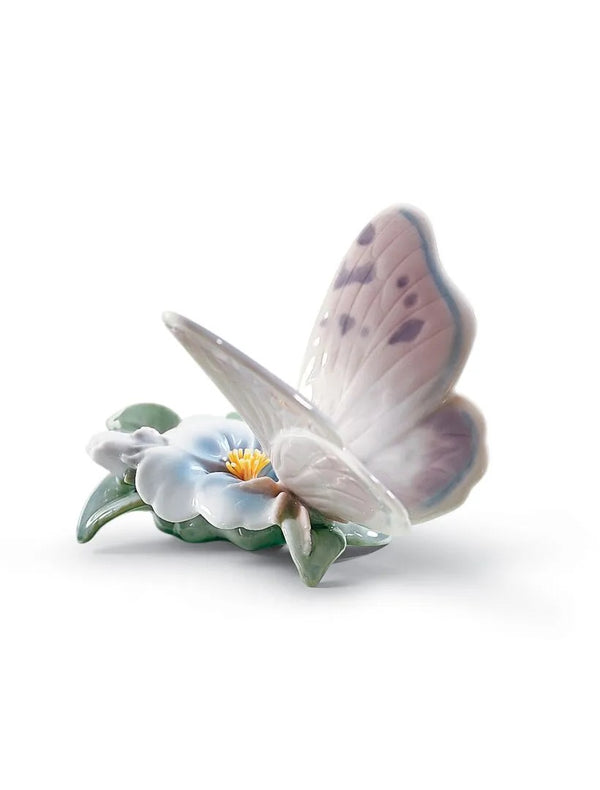 Refreshing Pause Butterfly