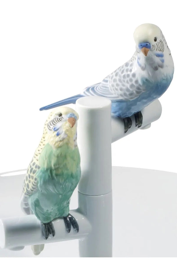 Parrot Romance Plate