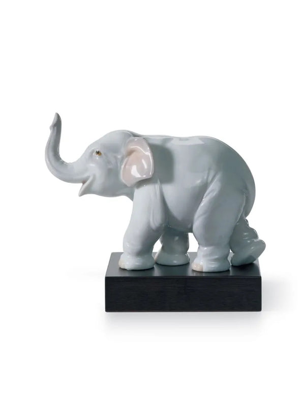 Lucky Elephant