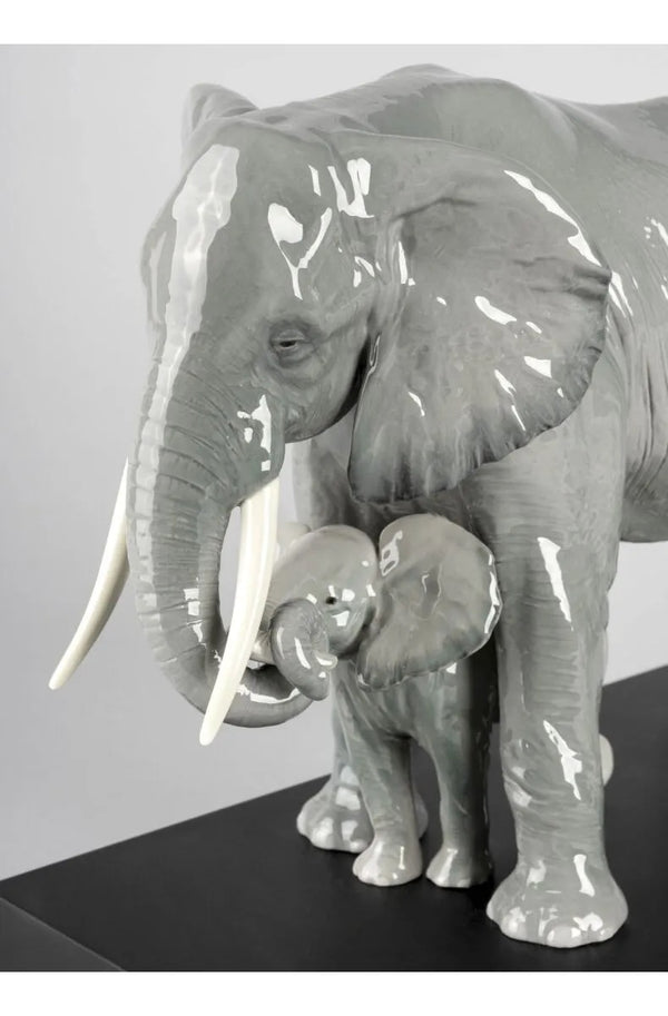 Leading The Way Elephants