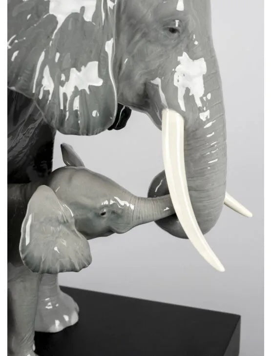 Leading The Way Elephants