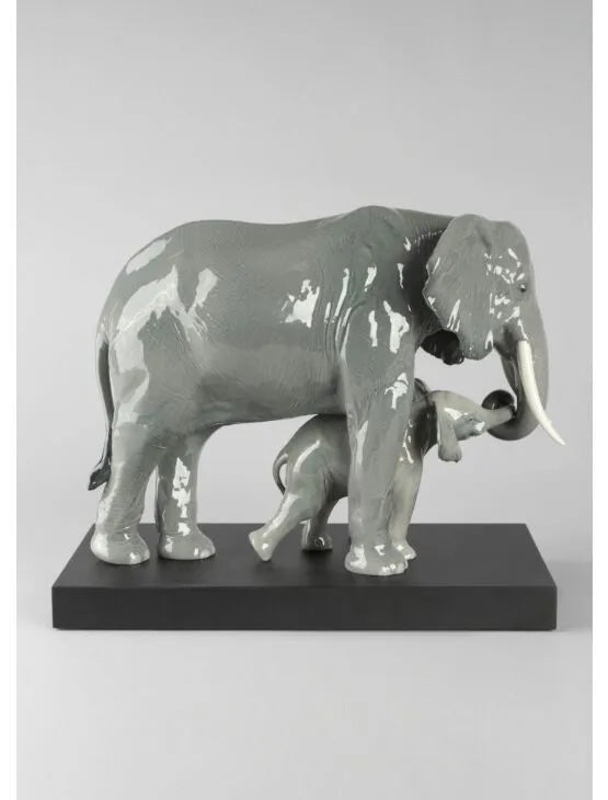 Leading The Way Elephants