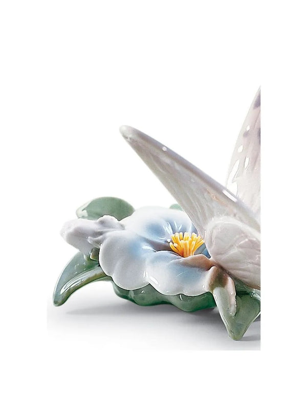 Refreshing Pause Butterfly