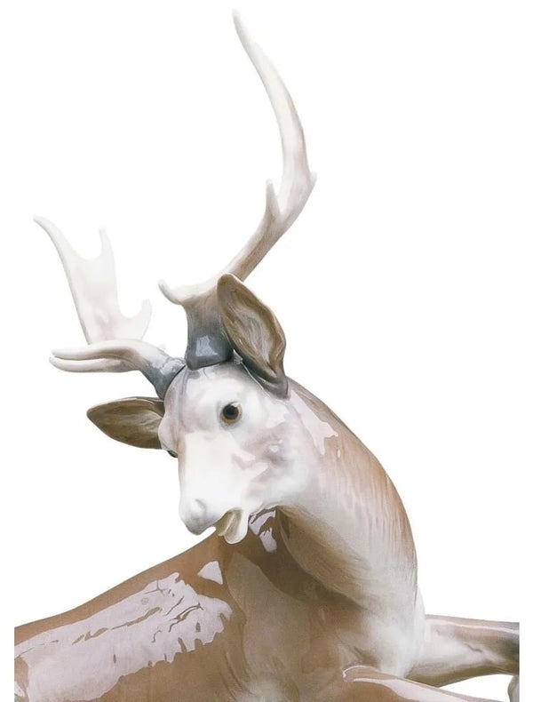 Buck Hunters