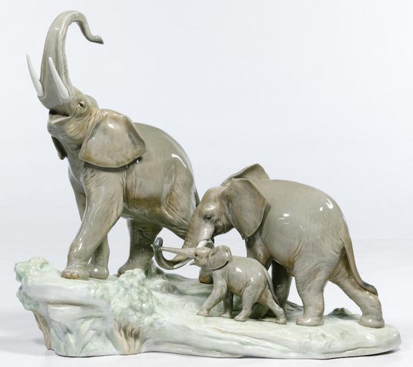 Elephants Walking