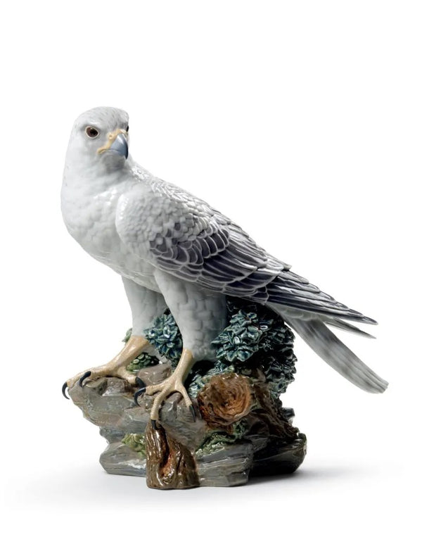 Gyrfalcon Limited Edition