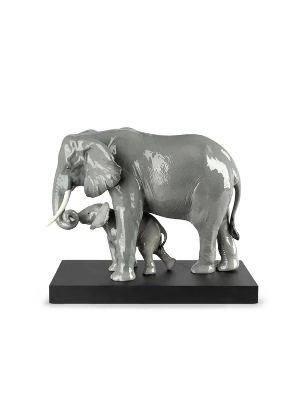 Leading The Way Elephants