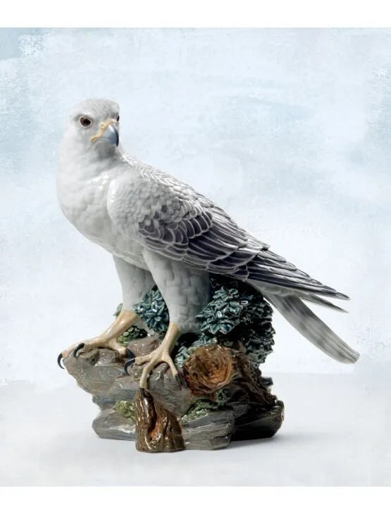 Gyrfalcon Limited Edition