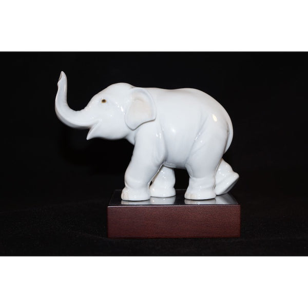 Lucky Elephant