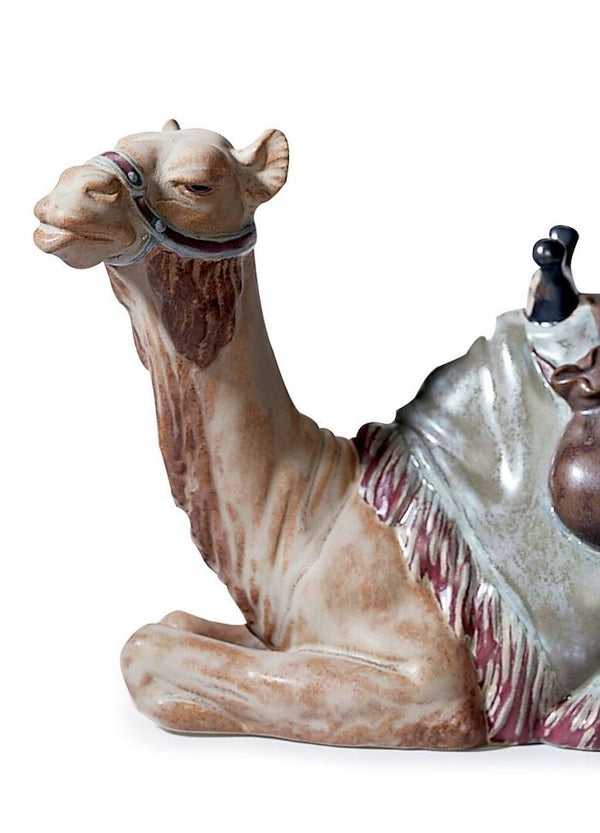 Camel