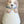 Load image into Gallery viewer, Puppy, Kitten &amp; Bunny
