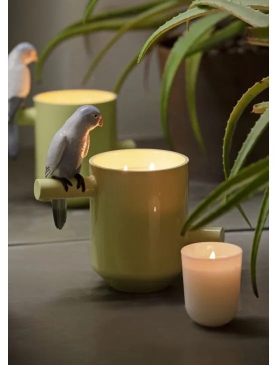 Parrots Scented Treasure