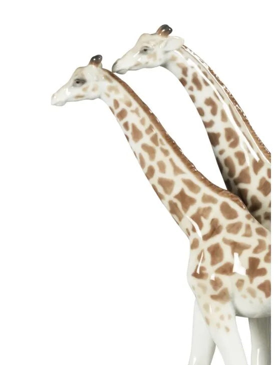 Giraffes