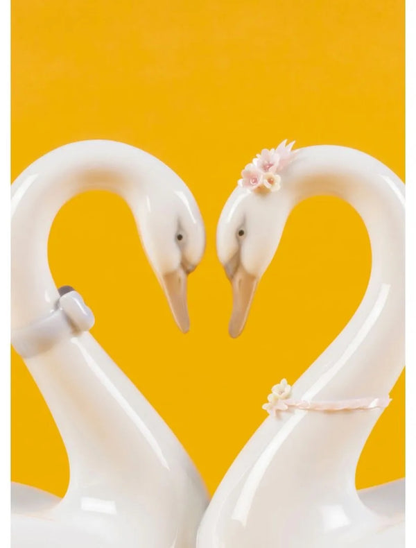 Endless Love Swans