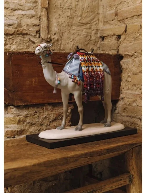 Camel Limited Edition