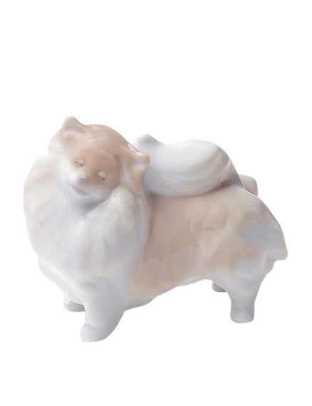 Pomeranian