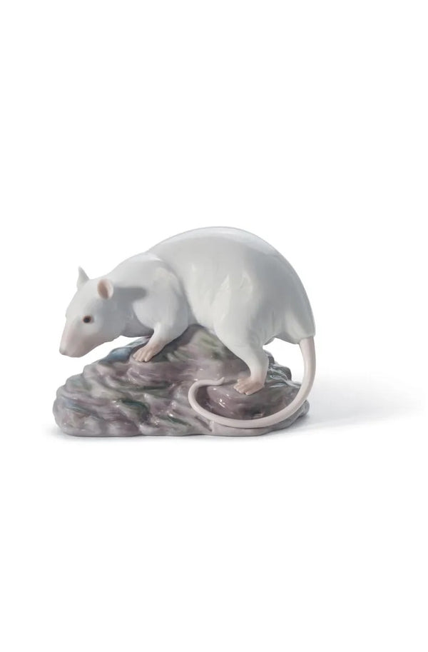 The Rat