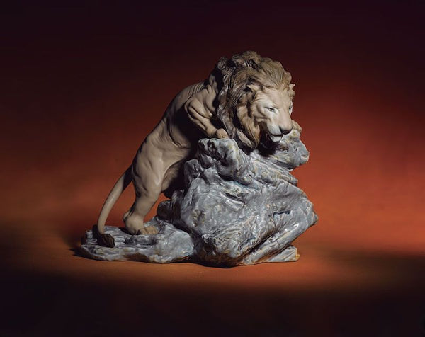 Lion Pouncing