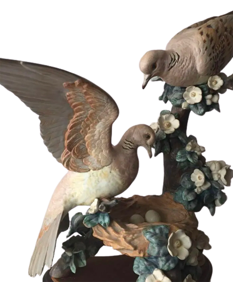 Turtle Dove Nest
