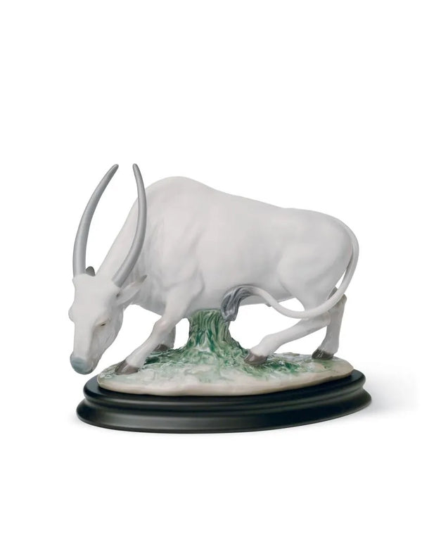 The Ox